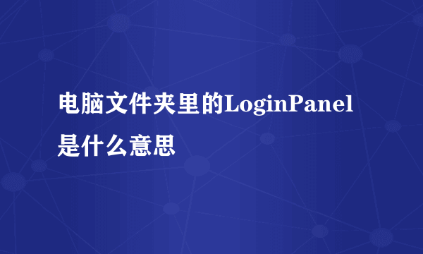 电脑文件夹里的LoginPanel是什么意思