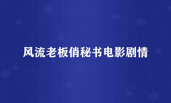 风流老板俏秘书电影剧情