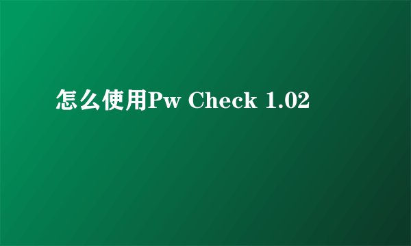 怎么使用Pw Check 1.02