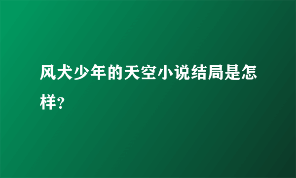风犬少年的天空小说结局是怎样？