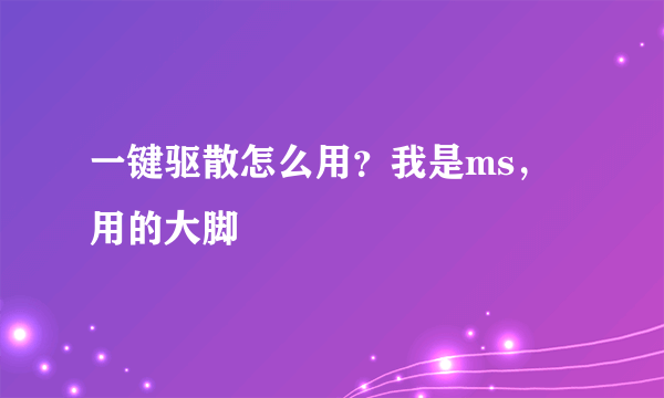 一键驱散怎么用？我是ms，用的大脚