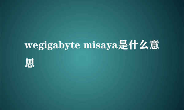 wegigabyte misaya是什么意思
