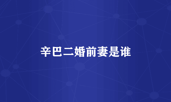 辛巴二婚前妻是谁