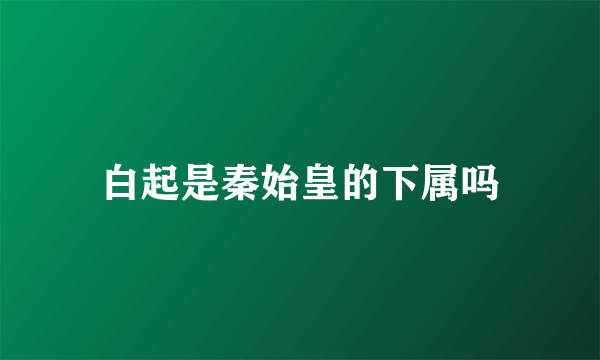 白起是秦始皇的下属吗