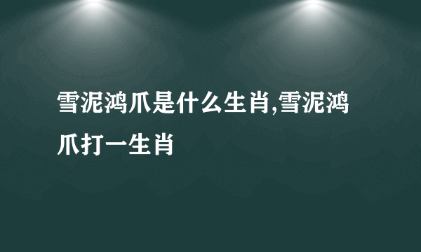 雪泥鸿爪是什么生肖,雪泥鸿爪打一生肖