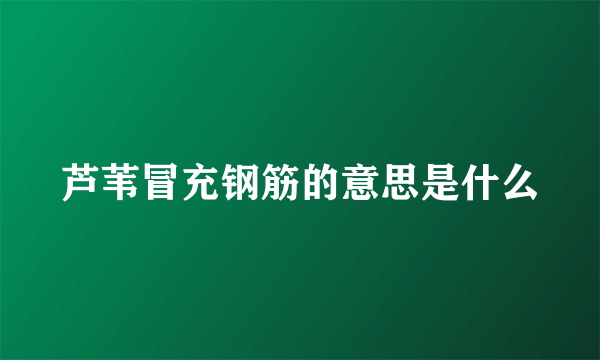 芦苇冒充钢筋的意思是什么