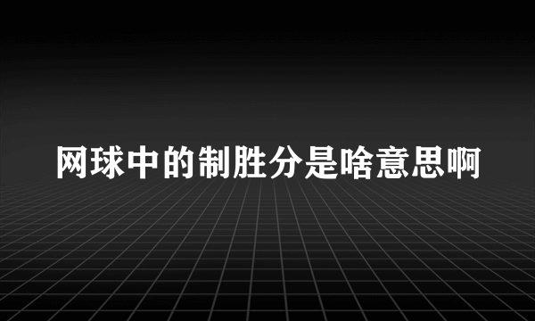 网球中的制胜分是啥意思啊