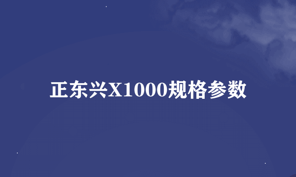 正东兴X1000规格参数
