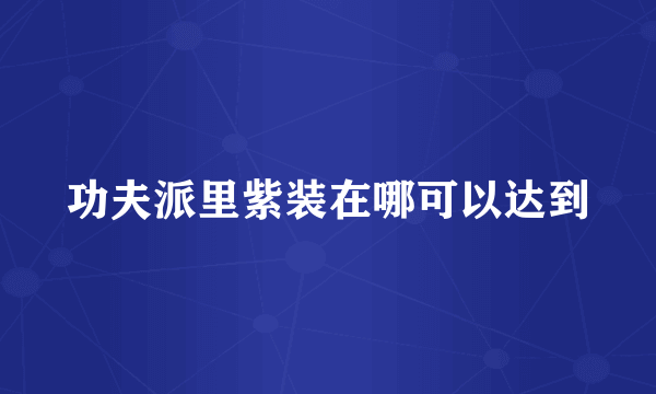功夫派里紫装在哪可以达到