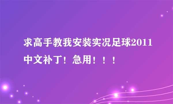 求高手教我安装实况足球2011中文补丁！急用！！！