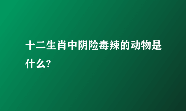 十二生肖中阴险毒辣的动物是什么?