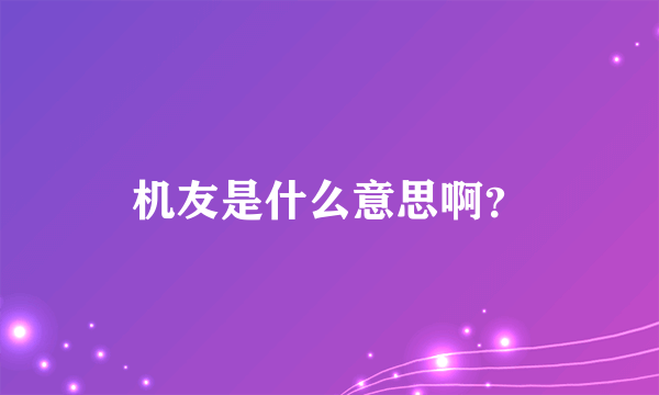 机友是什么意思啊？