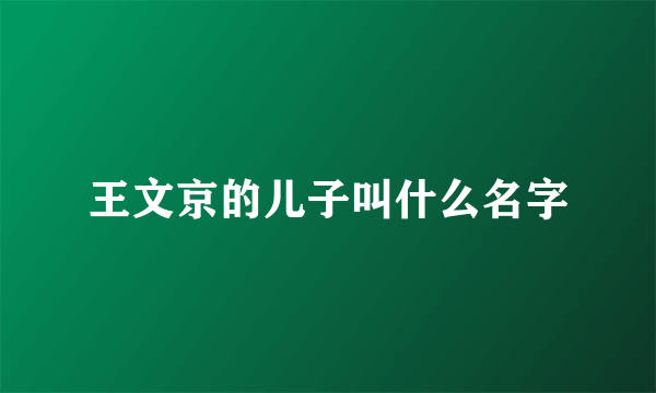 王文京的儿子叫什么名字