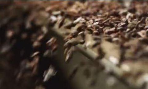 瑞士一小镇下起巧克力雨,这是怎么一回事?