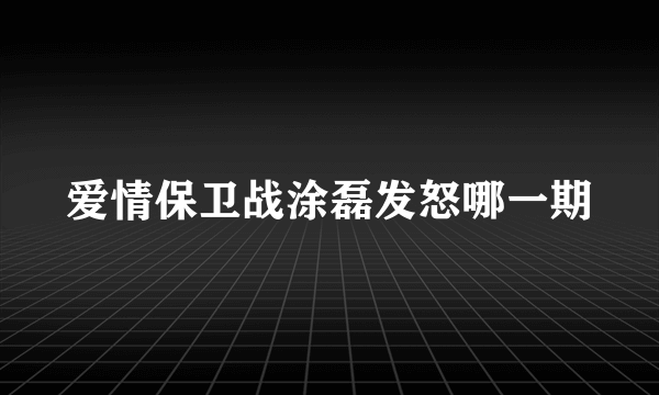 爱情保卫战涂磊发怒哪一期