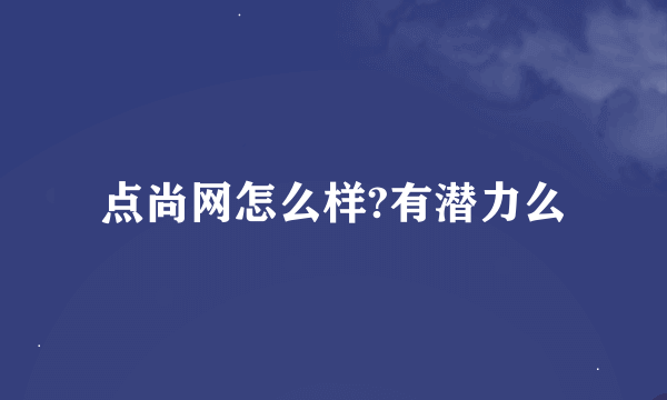 点尚网怎么样?有潜力么