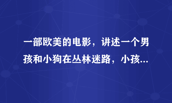 一部欧美的电影，讲述一个男孩和小狗在丛林迷路，小孩被...