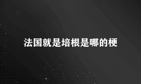 法国就是培根是哪的梗