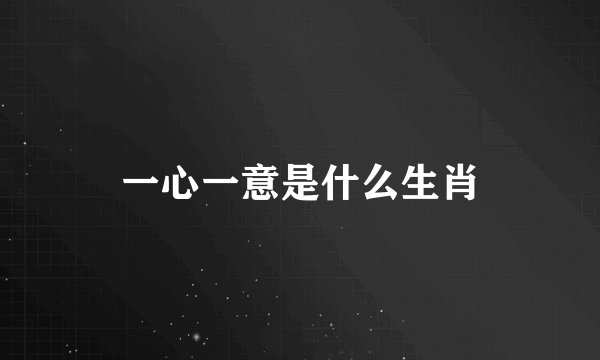 一心一意是什么生肖
