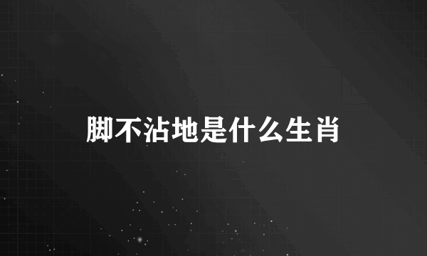 脚不沾地是什么生肖
