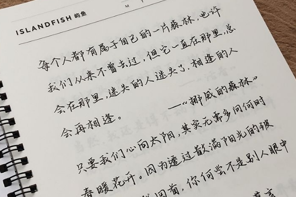 怎样才能写出落羽体字体呢？