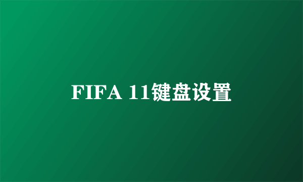 FIFA 11键盘设置