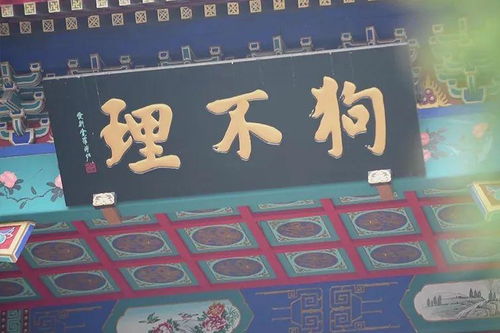 北京最后一家狗不理门店停业，为何它会败出京城餐饮业？