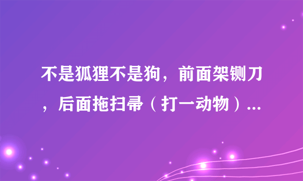 不是狐狸不是狗，前面架铡刀，后面拖扫帚（打一动物）谜底及原因