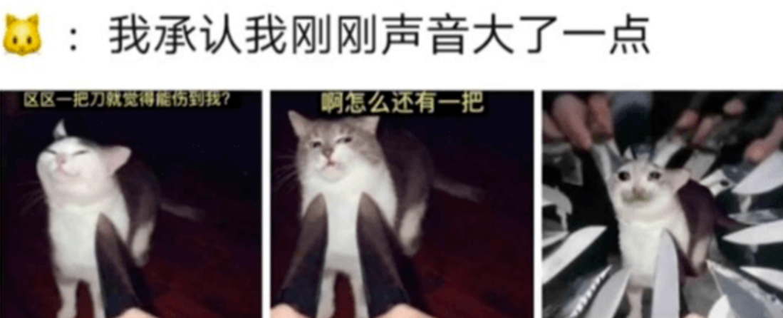 我承认我刚才说话声音有点大是什么梗