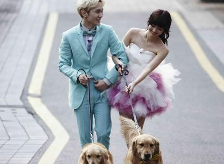 我们结婚了世界版里面所有的歌，插曲和演唱的，所有1~9集的