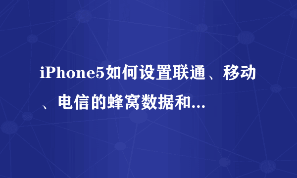 iPhone5如何设置联通、移动、电信的蜂窝数据和彩信功能？