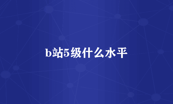 b站5级什么水平