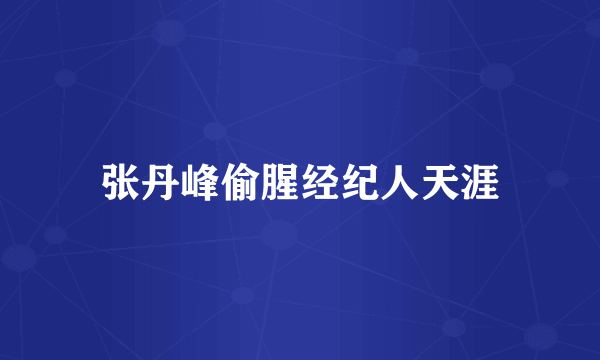 张丹峰偷腥经纪人天涯