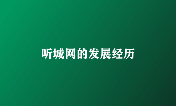 听城网的发展经历
