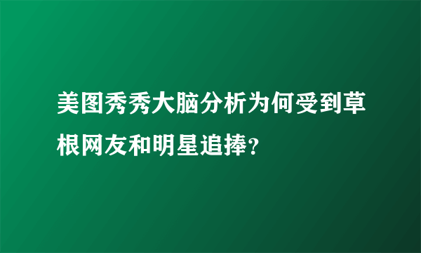 美图秀秀大脑分析为何受到草根网友和明星追捧？