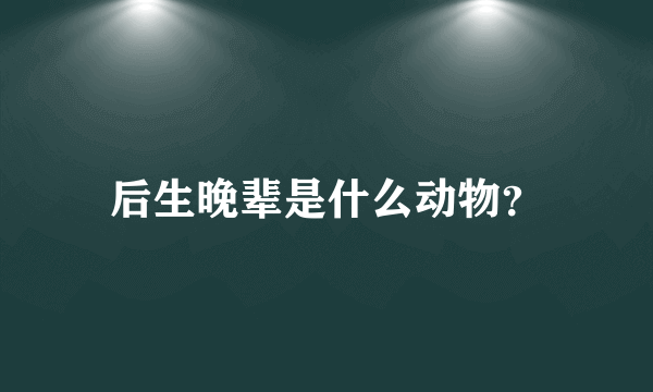 后生晚辈是什么动物？