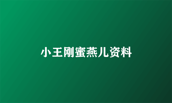 小王刚蜜燕儿资料