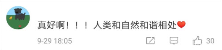 湖南某广场为候鸟连关3天射灯，射灯对候鸟有影响吗？