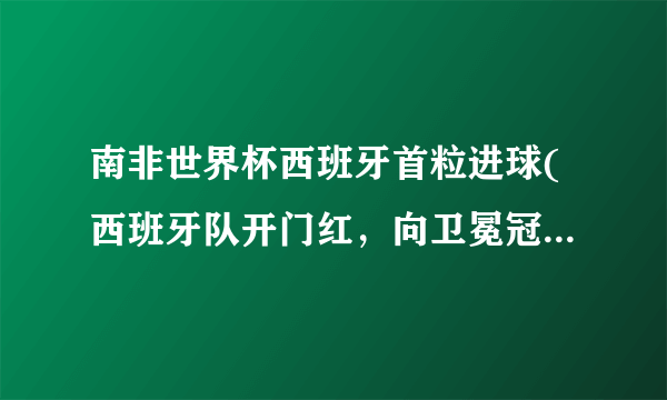 南非世界杯西班牙首粒进球(西班牙队开门红，向卫冕冠军发起挑战)