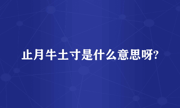 止月牛土寸是什么意思呀?
