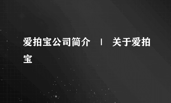 爱拍宝公司简介　|　关于爱拍宝