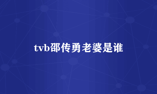 tvb邵传勇老婆是谁
