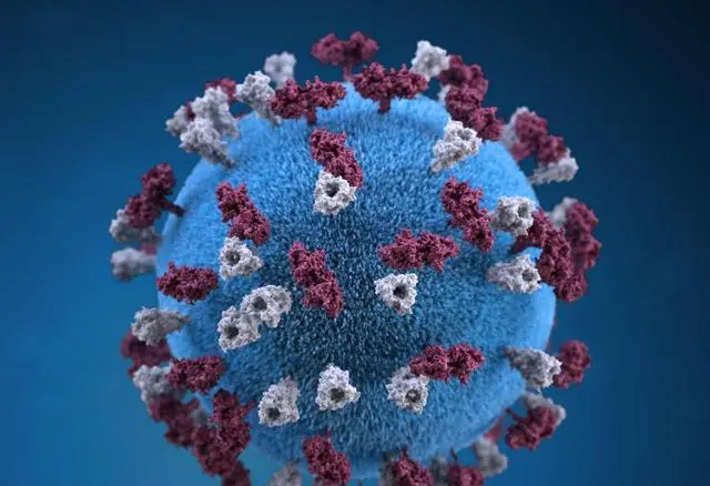 成都突降暴雨，市民深夜冒雨核酸检测，市民们的配合对抗疫有何帮助？