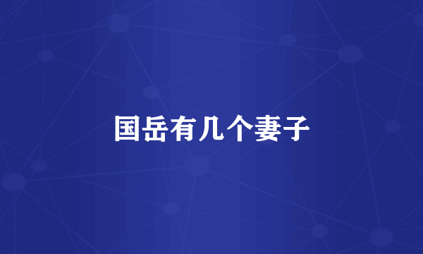 国岳有几个妻子