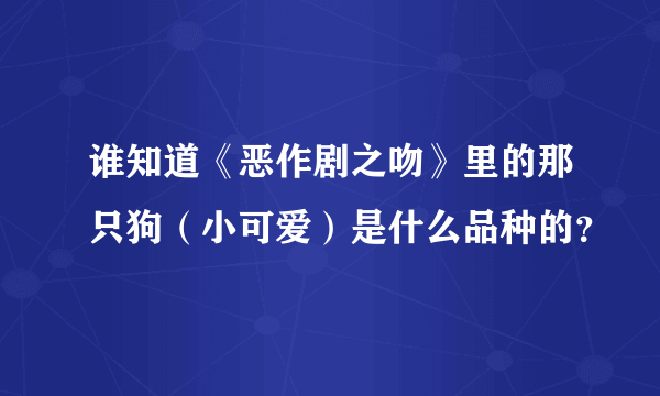 谁知道《恶作剧之吻》里的那只狗（小可爱）是什么品种的？