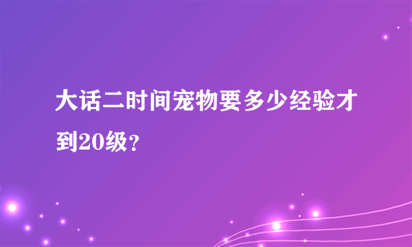 大话二时间宠物要多少经验才到20级？