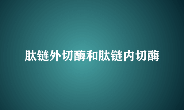 肽链外切酶和肽链内切酶