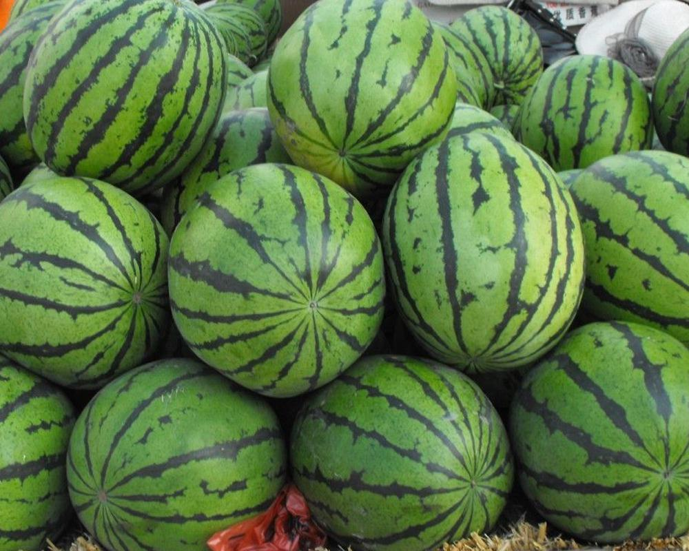 上海浦东120万斤西瓜滞销，瓜农哭诉求助，如何才能帮助这些瓜农？