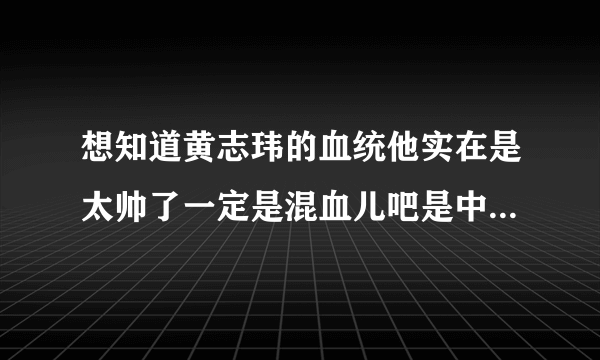 想知道黄志玮的血统他实在是太帅了一定是混血儿吧是中美吗?还是中意
