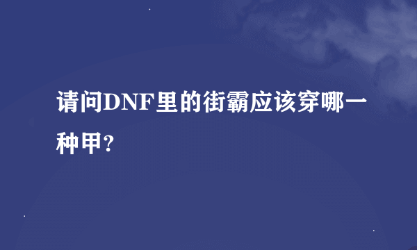 请问DNF里的街霸应该穿哪一种甲?